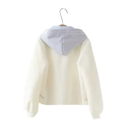 Hoodie Coréen Brodé FLORABAE™ 7 Hoodie Coréen Brodé FLORABAE™ -Mode Coréenne hallyu street hoodies hoodie coreen brode florabae 27951372468247 removebg preview