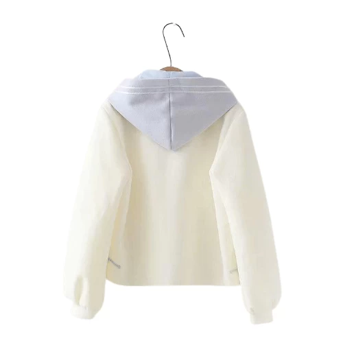 Hoodie Coréen Brodé FLORABAE™ 4 Hoodie Coréen Brodé FLORABAE™ – Image 2