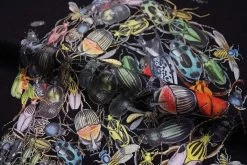 T-Shirt Coréen INSKULL™ -Mode Coréenne hallyu street tshirts tshirt inskull 14043132985367